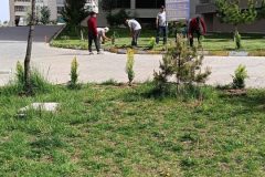 1600-adet-cesitli-tipde-fidan-dikildi-2-scaled