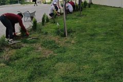 1600-adet-cesitli-tipde-fidan-dikildi-4-scaled