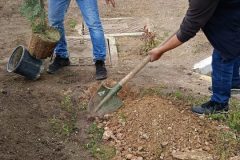 1600-adet-cesitli-tipde-fidan-dikildi-5-scaled