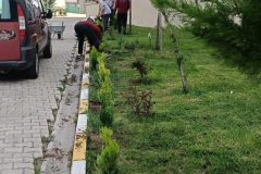 1600-adet-cesitli-tipde-fidan-dikildi-6-scaled