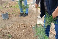 1600-adet-cesitli-tipde-fidan-dikildi-7-scaled